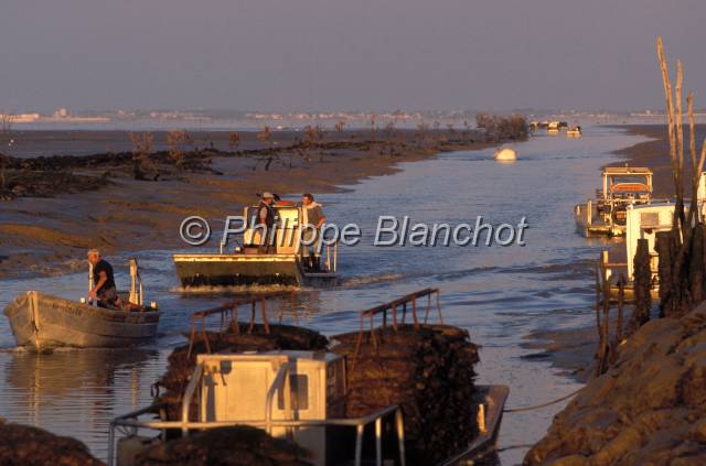 huitre oleron 03.JPG - Retour des bâteaux ostréicoles par le chenal au coucher de soleilMarennes Oléron, France